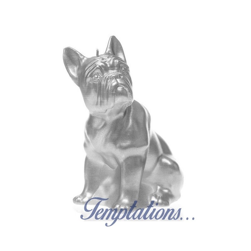 Bougie Bulldog Argent Candellana