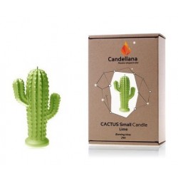 Bougie Cactus Vert lime Candellana