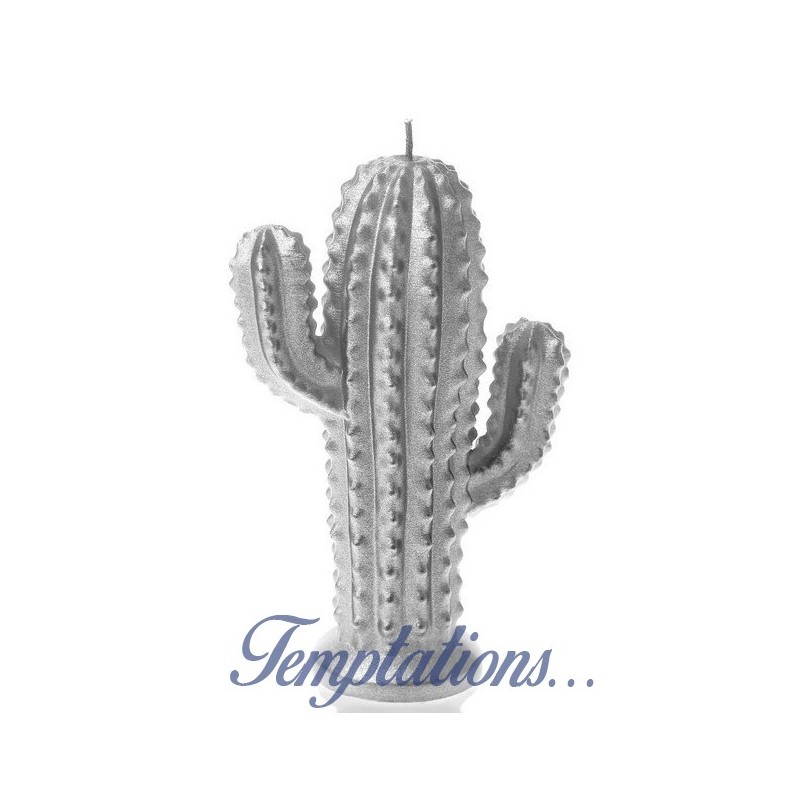 Bougie cactus silver Candellana