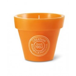 Bougie POT DE FLEUR Citronnelle PM BOUGIES LA FRANCAISE