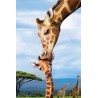 Puzzle 250 pièces Girafes - Eurographics