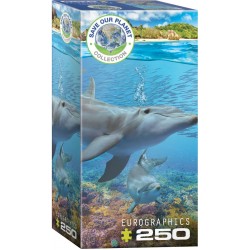 Puzzle 250 pièces Dauphins...