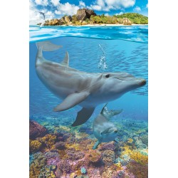 Puzzle 250 pièces Dauphins - Eurographics