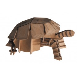 Maquette 3D en papier – Tortue